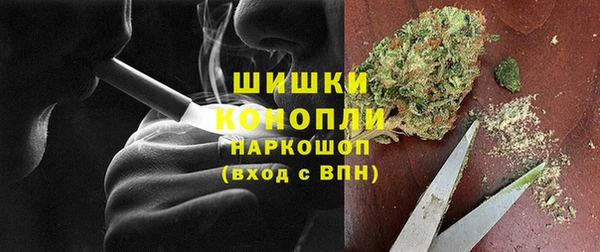 крисы Верея