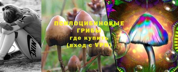 крисы Верея